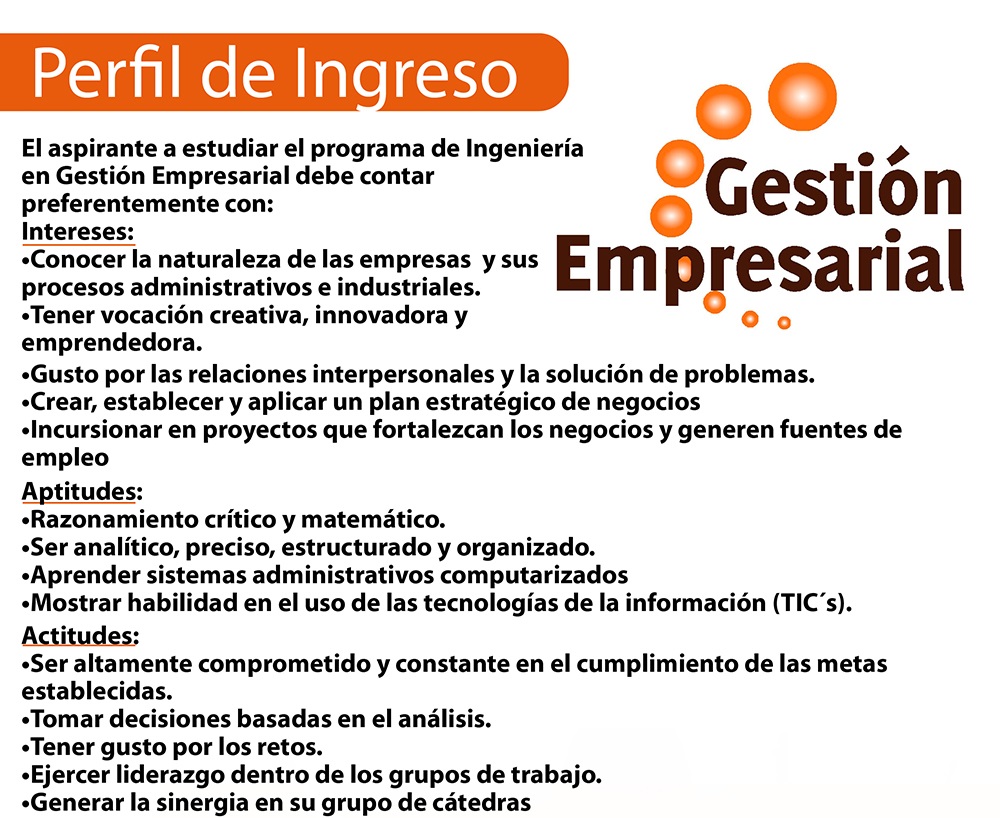 perfilingresoyegresoIGE